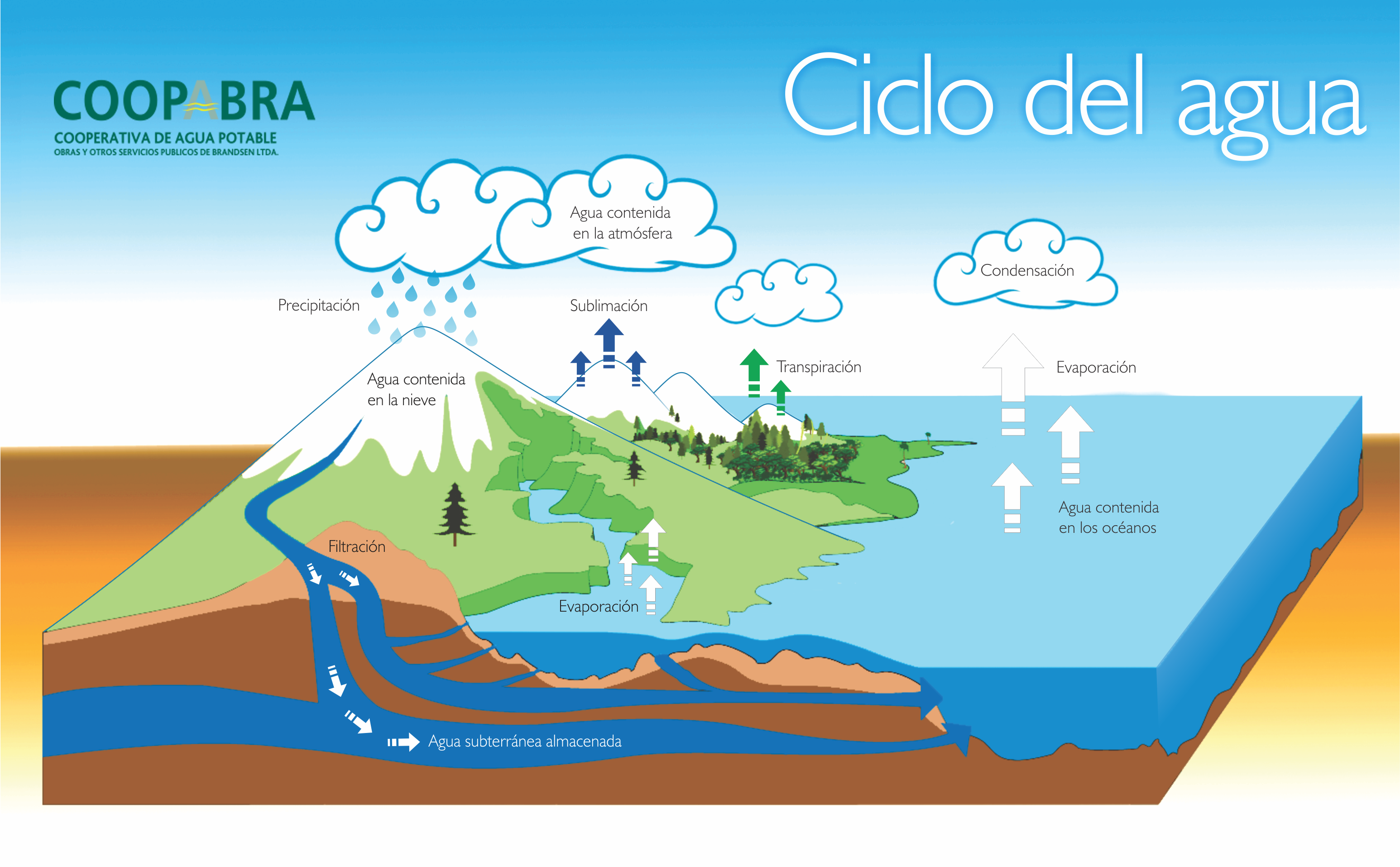 Ciclo Del Agua O Ciclo Hidrologico Fases De La Hidrosfera Images